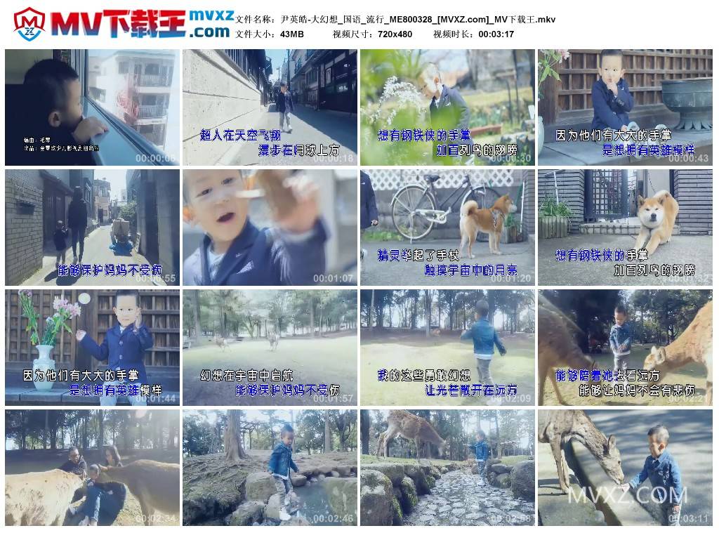 尹英皓-大幻想_国语_流行_ME800328
